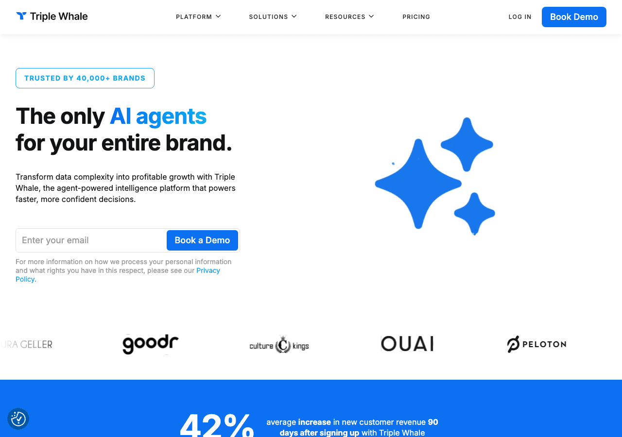 Triple Whale Data Analytics showing ecommerce analytics - Transform your data into profitability with agent-powered intellige